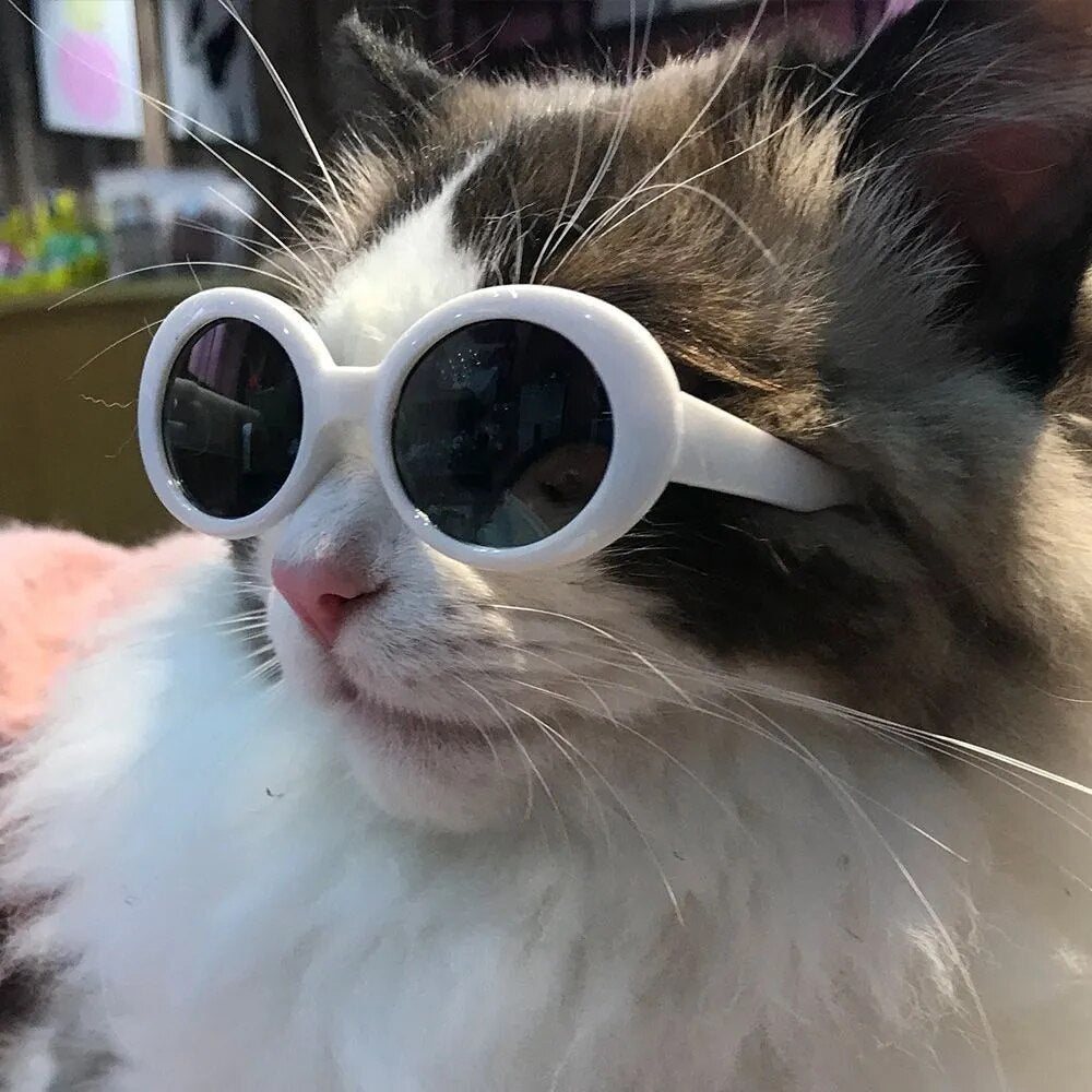 Cat Glasses Cool Pet Small Dog Fashion Round Glasses Pet