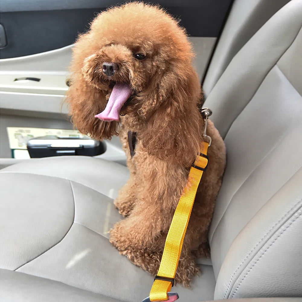 Adjustable Dog Cat Car Safety Belt Pet Vehicle Seat Belt Leash