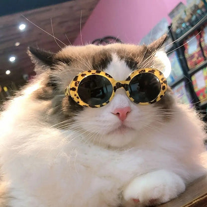 Cat Glasses Cool Pet Small Dog Fashion Round Glasses Pet